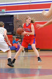 Falcons in action